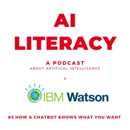 #3 How a Chatbot Knows What You Want with Robert Redmond (IBM Watson)