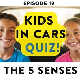 The FIVE SENSES - Play the Ultimate Ear-to-Toe Quiz!