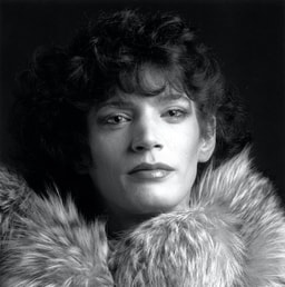 Robert Mapplethorpe: The Quest for the Perfect Penis!